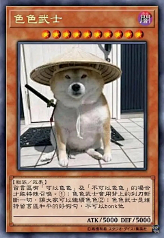 愛尔皮采集到狗狗