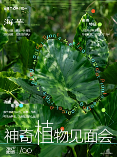 玖只小松许采集到地产-活动