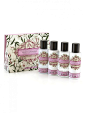 Travel Toiletries - Aromas Artesanales de Antigua - Gift Set : AAA Travel Collection includes a luxury travel size shampoo, conditioner, shower gel & body cream. Free delivery on orders over £30.