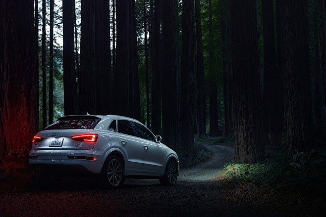 Audi Q3 in a Redwood...