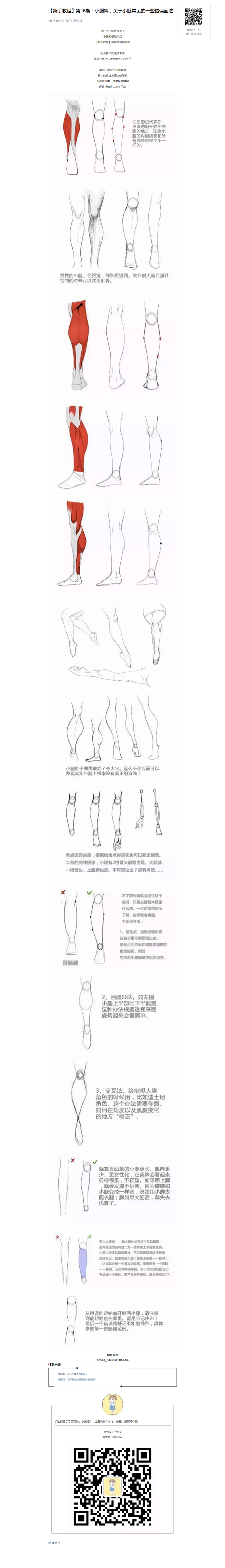 【新手教程】第16期：小腿篇，关于小腿常...