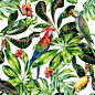 水彩无缝模式的热带树叶和鸟类。