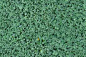 Seamless Grass Texture, Shallow Vegetation, High Resolution Seamless Texture  Stock Photo - Image of plain, grow: 155933898