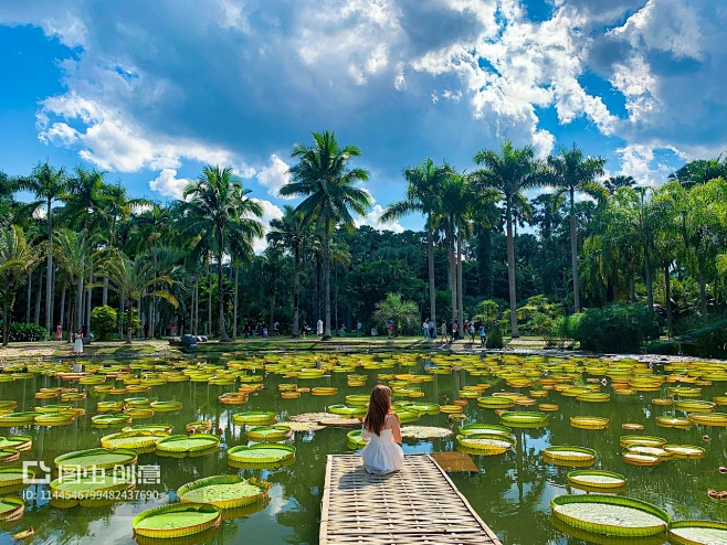 西双版纳 - 搜索结果 - 图虫创意-全球领先正版素材库-Adobe Stock中国区战略合作伙伴-花瓣网