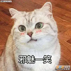 开黑吗我一个打五个猫咪表情包