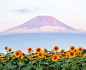 Mount Fuji