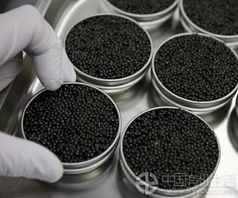实拍“黑色黄金”鱼子酱 的加工过程
鱼...