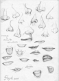 Nose and Mouth studies by tigre-lys     #插画 #手绘 #素描#技法#手势#动作#五官#绘画#鼻子#嘴巴#耳朵#眼睛#手#脚#身体