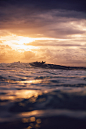 (3) Tumblr