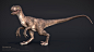 Velociraptor, Gregor Ruf : I did this project some time ago.
It was the first Project I did with RenderMan by the way.