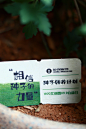 种子领养|相信一颗种子的力量，把我种下