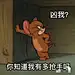 猴子哥哥熊先生