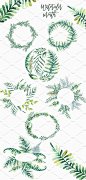 健康花圈绿色生态叶子水彩绿叶树叶花环PNG免抠设计素材 (3)