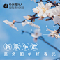 莫负春光好韶华---虾米音乐人周刊第101期_虾米音乐人歌单 - 虾米音乐