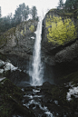 urbanissues:
“imbradenolsen:
“ a cold morning at Latourell Falls
”
vertical landscapes
”