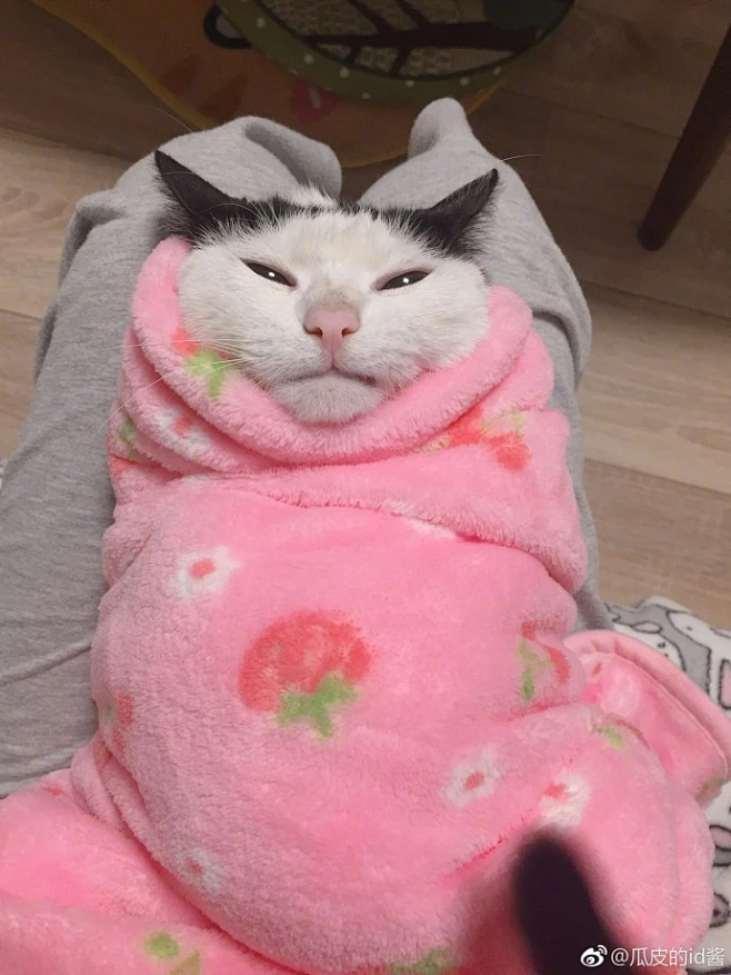 瓜皮萌萌 今天也刷好牙了