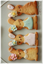 Bunny Cookies