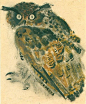 005S3MNuly1hhztay5igtj30fn0j0mzd.jpg (563×684)
