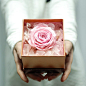 红玫瑰花礼盒永生花保鲜花全国杭州上海鲜花速递生日鲜花
