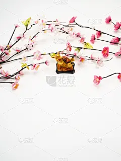 猪,月亮,新年前夕,2020,可爱的,传统,商务,请柬,事件,贺卡