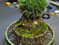 Project Skycity by linyw007 : Try to make one & enjoy it ! :)
(Tree and moss are living things.)  
http://www.catzstudios.com/#!project-laputa/c1j7s