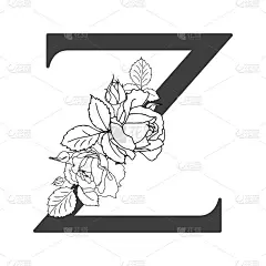 向量的字母表。字母z的花卉设计字母。装饰婚礼请柬，卡片，花商名片。线型玫瑰的花卉图案。