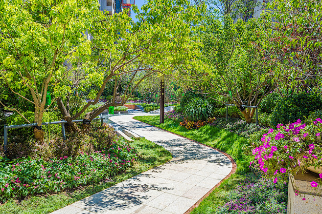 设计龙湖地产景观养老社区植物规划龙湖植物景观地产植物配置图住宅园