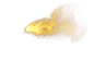 金粉