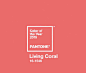 Pantone 公布2019年流行色——Living Coral 珊瑚红 ​ ​​​​