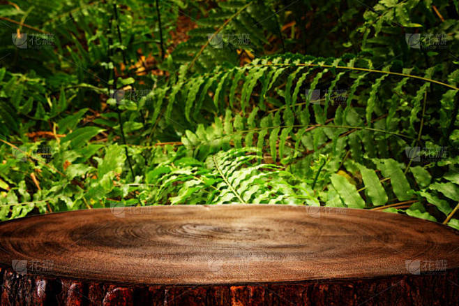 热带绿色花卉背景前的木制桌子。产品展示及...