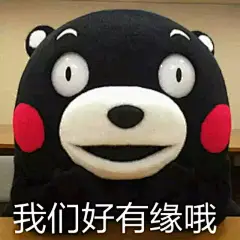 #熊本熊表情包# #熊本熊# #表情包# #表情排行榜#