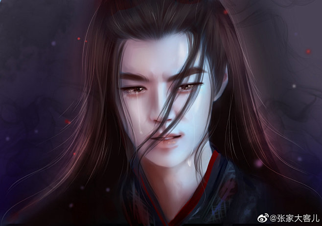 魔道祖师  陈情令  魏无羡 蓝忘机魏婴...