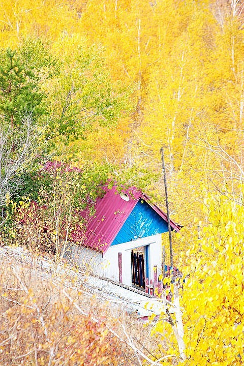 唯美风景