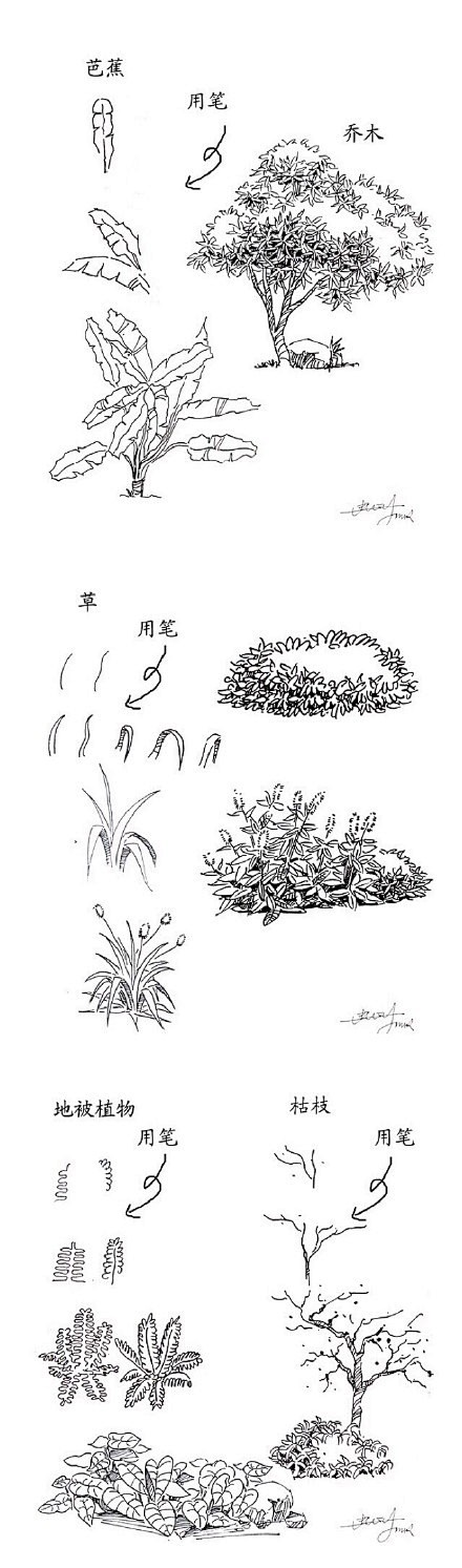 【一学就会，植物手绘速写20种技法】在最...