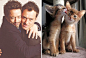 des hommes et des chatons men and cats 4 550x370 姑娘们最喜欢的都在这儿了：N张性感帅哥和猫咪的对照照片