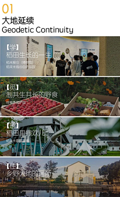 骄傲的公主0927采集到农文旅