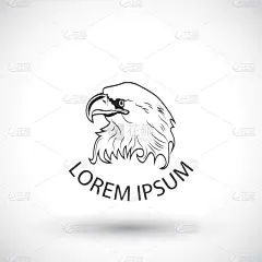鹰,分离着色,轮廓,远古的,华丽的,野生动物,老鹰,美国,弯曲