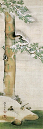 Pine. Twelfth Month (December) from Birds & Flowers of the Twelve Months by Sakai Hōitsu (1761-1828). Japanese hanging scroll.