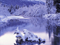 Earth, Hoarfrost, Ice, Lake, Landscape, Morning, Nature, Reflection, Scenery, Snow, Snowdrifts, Trees, White, Winter wallpaper preview