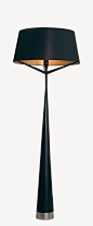 Floor Lamp ~ Slim black base topped with a black shade & gold lining....gorgeous!: