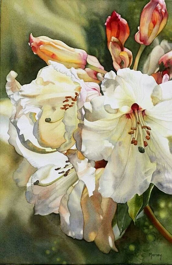 Watercolor flowers l...