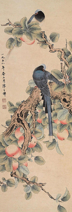 JhonSionW采集到工笔动物