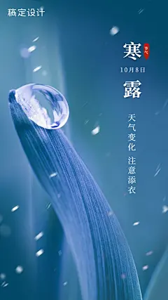 寒露_写实插画_手机海