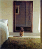Michael Sowa - Rabbit in front of a mirror (1998)