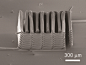 哈佛：3D打印锂离子电池的重要进展- 行业新闻 资讯频道-三达网