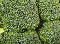 新鲜西兰花的质地