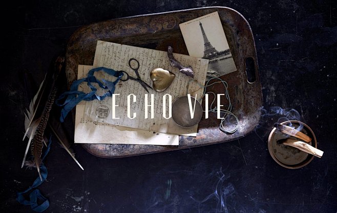 Welcome to ECHO VIE ...