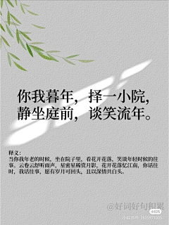 黑白赤橙采集到文案