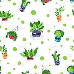 Vector HousePlants Set