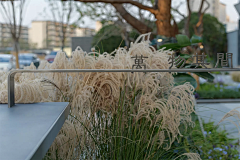 L-月兮采集到标识logo